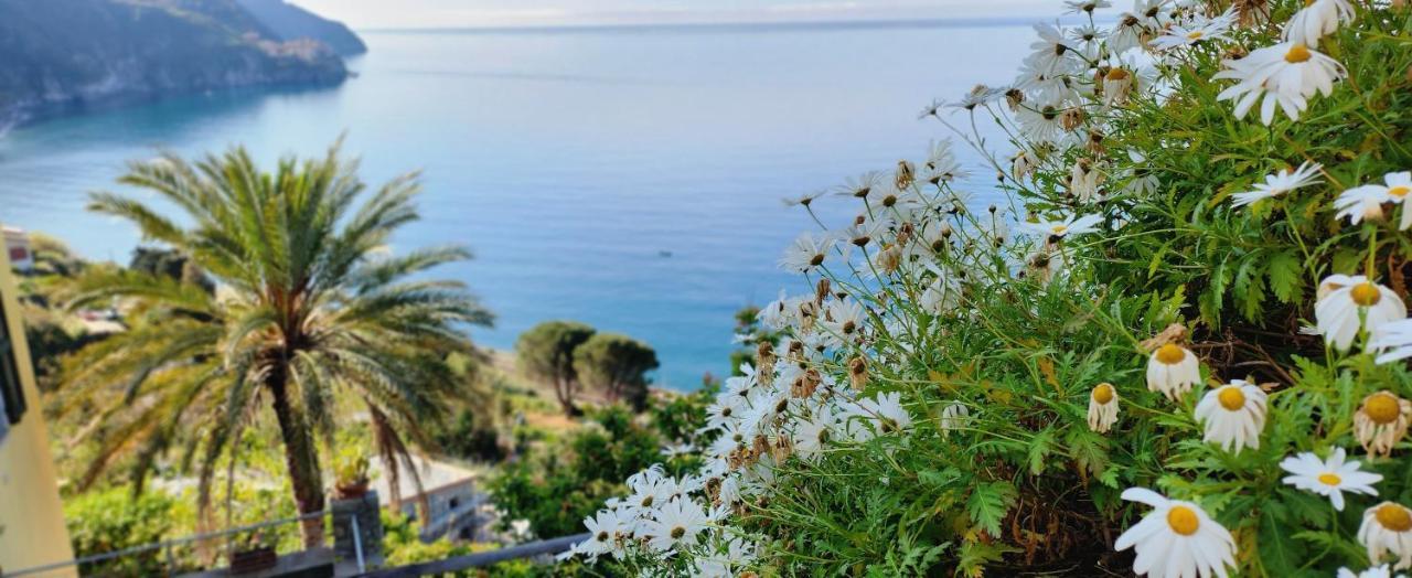 NEW 2022 Hanging Garden Corniglia Bagian luar foto