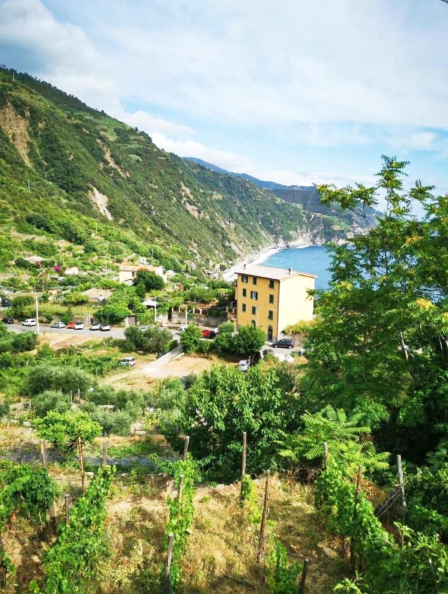 NEW 2022 Hanging Garden Corniglia Bagian luar foto